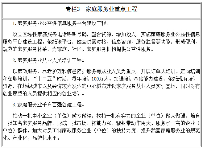 專欄3 家庭服務(wù)業(yè)重點(diǎn)工程
