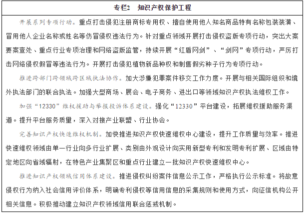 專欄2 知識(shí)產(chǎn)權(quán)保護(hù)工程
